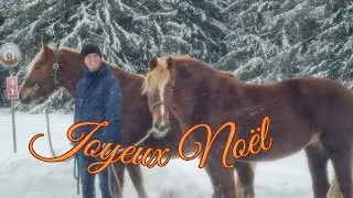Joyeux Noël et Neige à volonté!