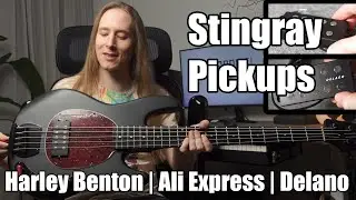 Stingray Pickups: Cheap vs. Expensive