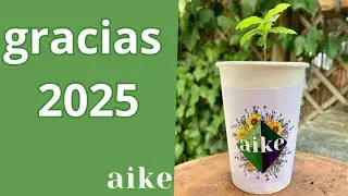 ¡GRACIAS 2025!