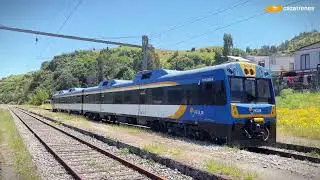 TLD-503 en San Rosendo