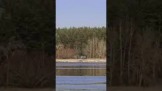 Устье реки Наровы