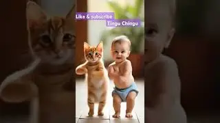 Akar chakar 😀❤️ #song #music #dance #trending #cat #dancingcat #viralshorts #shorts #kids#kidsvideo