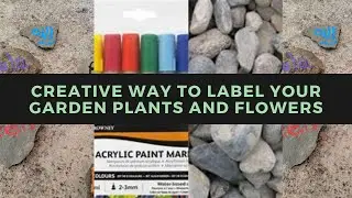 Garden: Cute and creative way to label your plants