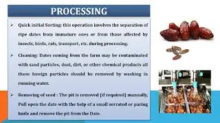 PowerPoint Presentation on Dates Processing (under PMFME Scheme) - ENGLISH