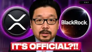 ОФИЦИАЛЬНО! Они значительно повысят цену XRP (шок предложения)