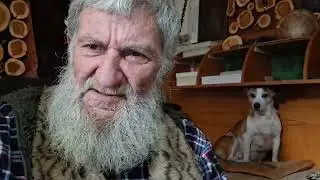Анализ той ночи
