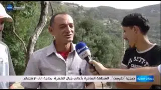 جيجل: 