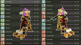 DOFUS, J'AI (ENCORE) TOUS LES  METIERS NIVEAUX 200