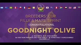 2022 Breeders' Cup Filly & Mare Sprint - Goodnight Olive