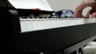 Beethoven Symphony No.6 5th mov