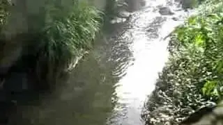 pila 8