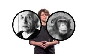 What is Common Ancestry?