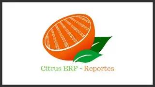 Citrus ERP - Inventario - Reportes - Generar