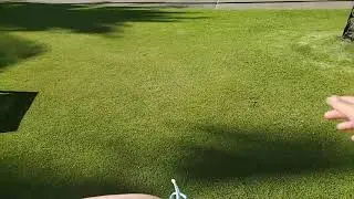STPeach best moments 23