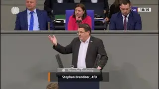 AKTUELL : REDE STEPHAN BRANDNER ( AFD ) AM 2.M&Auml;RZ IM DEUTSCHEN BUNDESTAG IN BERLIN.
