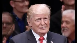 The Story That Could Lose Trump The 2020 Election