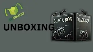Unboxing de la Black Box Natura de AntDimension 🐜✨ &iexcl;Descubre qu&eacute; hay dentro!