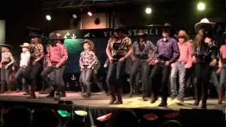 Schoolfeest 2013 - Dallas - vijfde leerjaar