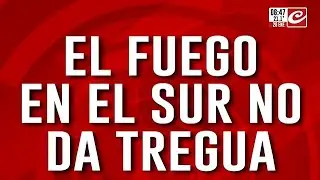 Tragedia ecológica en la Patagonia: ya son más de 230 mil las hectáreas afectadas por las llamas