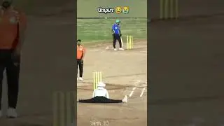 Funniest Umpire in Cricket History! 😂🔥 #shorts