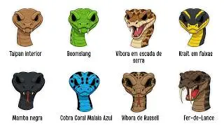Cada Cobra Aqui Te Mata - Explicado em 11 Minutos (Part 1)