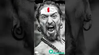 Sai Chintu 009km