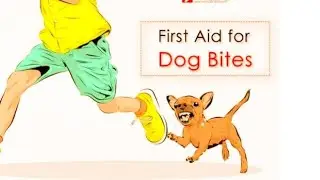 First Aid For Dog Bite || First Aid In Dog Bite