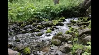 Beaver Creek Trail