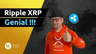💥 Ripple-HAMMER  ❗❗ 💥 SEC vs. Ripple 💥 Amici Brief TapJets