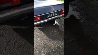 W114 /8 380ce M116 V8