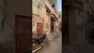 Surjani Town  sector 4D KDA Lease All Dues Clear Demand 35 lac Double Story Company Makan Bank Loan