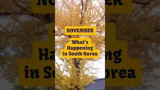 South Korea November 2025: Festivals, Events, and Things to do