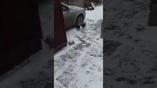 полный привод