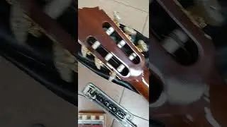 YAMAHA【GC-5】 Grand Concert 　Guitar