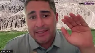 Chile trabaja para potenciar la producción de alfalfa de calidad