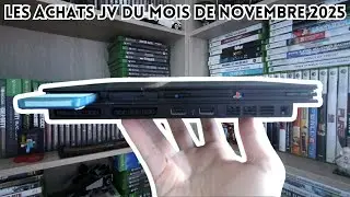 #31 Mes Achats JV - Novembre 2025