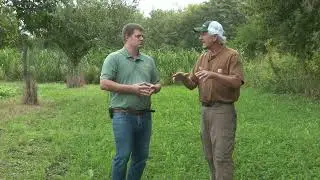 How to build a deer buffet with Mark Ferman