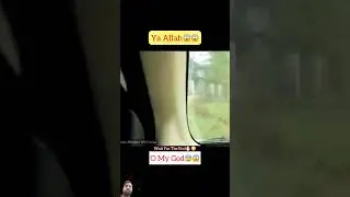 Tiger 🐯 attack on car 🚗 #tiger #attack #lion #respect #reels #reelsshorts