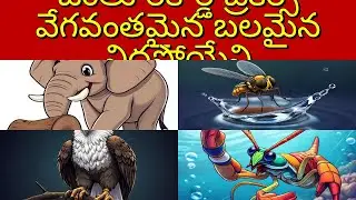 Top 40+ Animals Quiz on Animal Record Breakers: Fastest, Strongest, Sleepiest! in Telugu | Trivia...