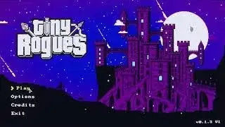 05. ukiyo-ace | Tiny Rogues (0.1.6 Doppelganger run)