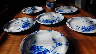 Pintura em Porcelana a 750ºC orientações iniciante