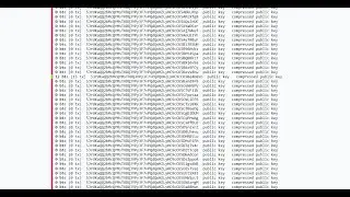 btc privatekey with balance