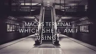 macOS Terminal - which shell am I using
