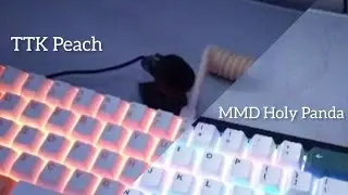 KTT Peach Lube & MMD Holy Panda Lube Test Sound