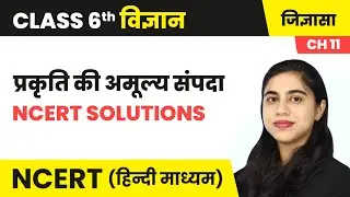 प्रकृति की अमूल्य संपदा - NCERT Solutions | Class 6 Science Chapter 11 | NCERT 2024