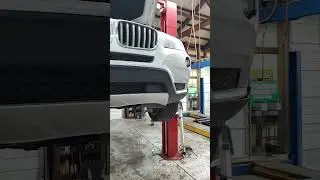 Random Oddities around the shop