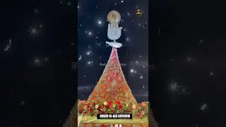 4 Shaban Dargah Hazrat Abbasع #dargah #karbala #viralvideos #shortsfeed #shorts #yaali #shia