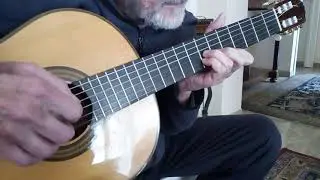 La canzone dell'amore perduto consigli Giuseppe Capannini - Fabrizio de André cover tutorial
