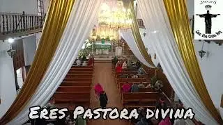 Eres Pastora Divina