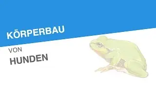 K&Ouml;RPERBAU VON HUNDEN | Biologie | Biologie der Tiere (Mittelstufe)
